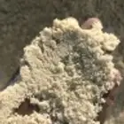 بطحة الرياض بطحة الشرطة 0536048958