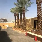 زرعه النخيل العربي وتكريب النخيل ويوجد جميع انواع النخيل