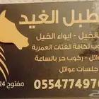 ركوب خيل وايجار خيل تدريب عسف الخيل إيواء جلسات عوائل