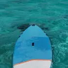 الكابتن لرحلات البحريه والنزهه