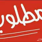 مطلوب شقه للايجار 3 أشهر ونص