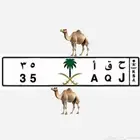 لوحة مميزة لهل البل ( ح ق أ 35 )