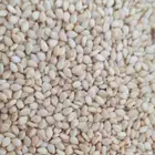 الرياض السلي حي النور