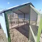 صندقه 2 في 2 شبك بقلاوة نظيفه سعر البيع 300