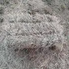 علف رودس
