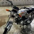 دباب الوسام الناري