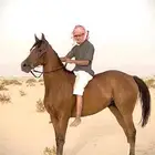 فرس شعبيه سبوق