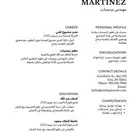سيرة ذاتية احترافية
