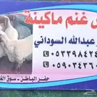 حلق غنم ماكينة