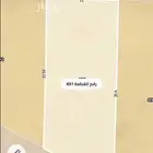 ارض في مخطط النخبة النظيم