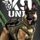 فندقه للكلاب