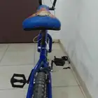 سيكل كوبرا