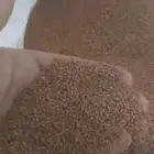 بذور برسيم امريكي كاف 101