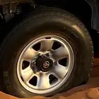 جنوط فورتشنر