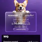مدرب كلاب