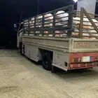 نقل دينا دينه جرش برمة الفروسية الرمال