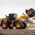 مطلوب شيول في الظهران