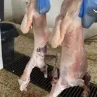 توفير ذبايح مع خدمه الذبح و التوصيل