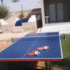 تأجير تنس طاوله