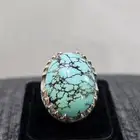 فيروز سيناوي