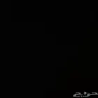 مطلوب شقه في حي شظاة