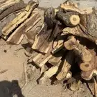 حطب طيب موجود شلايخ مسح. صندوق وزياده غمارتين