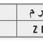 لوحة مميزة للبيع