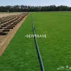 مشتل وتنسيق حدائق بالدمام