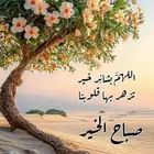 مطلوب محل او محلات في شمسان