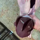 ذبيحتك لحمها مضمون