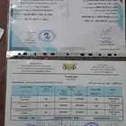 مصمم جرافيكس