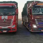 شحن دولي لجميع محافظات مصر   من الرياض لمصر فقط