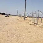 شبوك مزارع شبوك كسارات