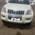 برادو
