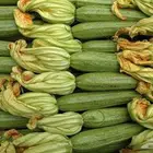 خضار اليوم باسعار الجملة