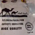 راوية مياه