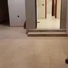 دور ارضي للايجار بحي البيان