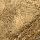 توريد تربه زراعيه كميات كبيره