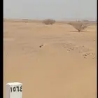 للبيع