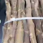 للبيع عقل تين ورمان و عنب