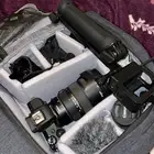 Canon M50