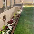 تنسيق وزراعة جميع الشتلات والأشجار والنخل