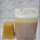 عسل سدر ملكي رقم واحد جديد من الموسم هذا