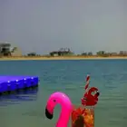 درة العروس وجهتك المختاره