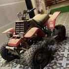 مطلوب بانشي