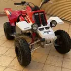 مطلوب بانشي
