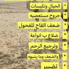 معالج أبل