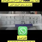 لوحة ( ك ب ه ) 992