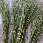 مرخ للمندي والحنيذ