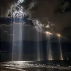 مطلوب شقه كاش